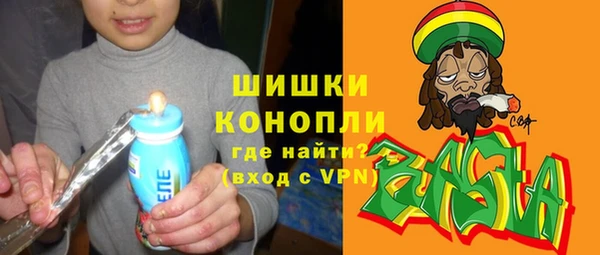 индика Балахна