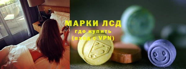индика Балахна