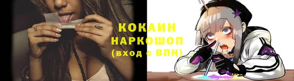 индика Балахна