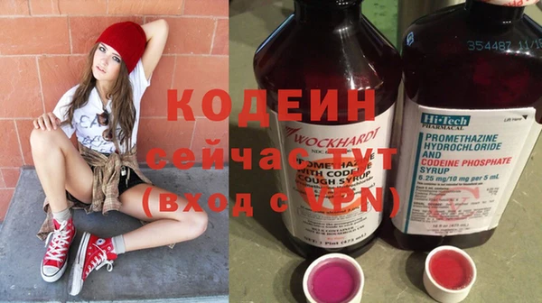 индика Балахна