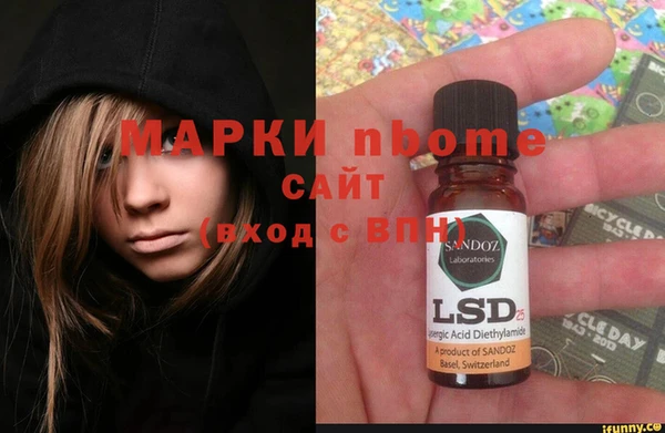 индика Балахна