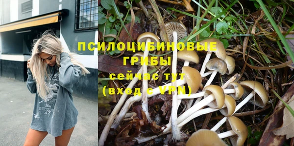 бутират Баксан